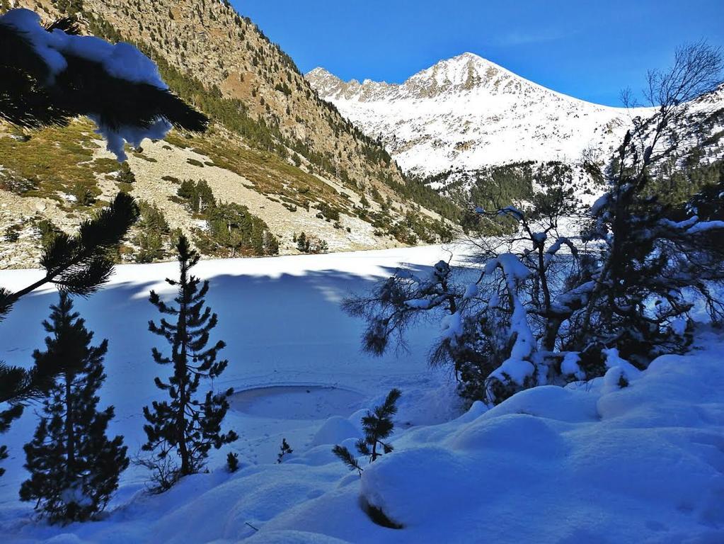 Sisquet Apartaments Erill la Vall Exteriör bild